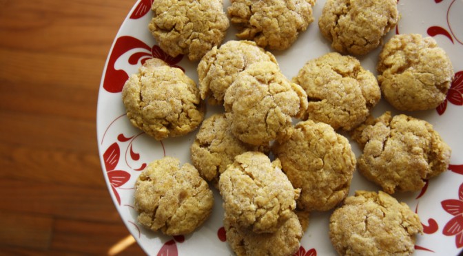 Pumpkin Snicker Doodle Cookies | redleafstyle.com